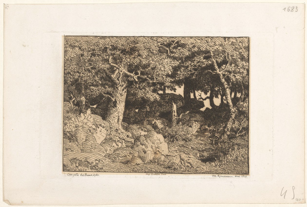 Querce su rocce da Theodore Rousseau