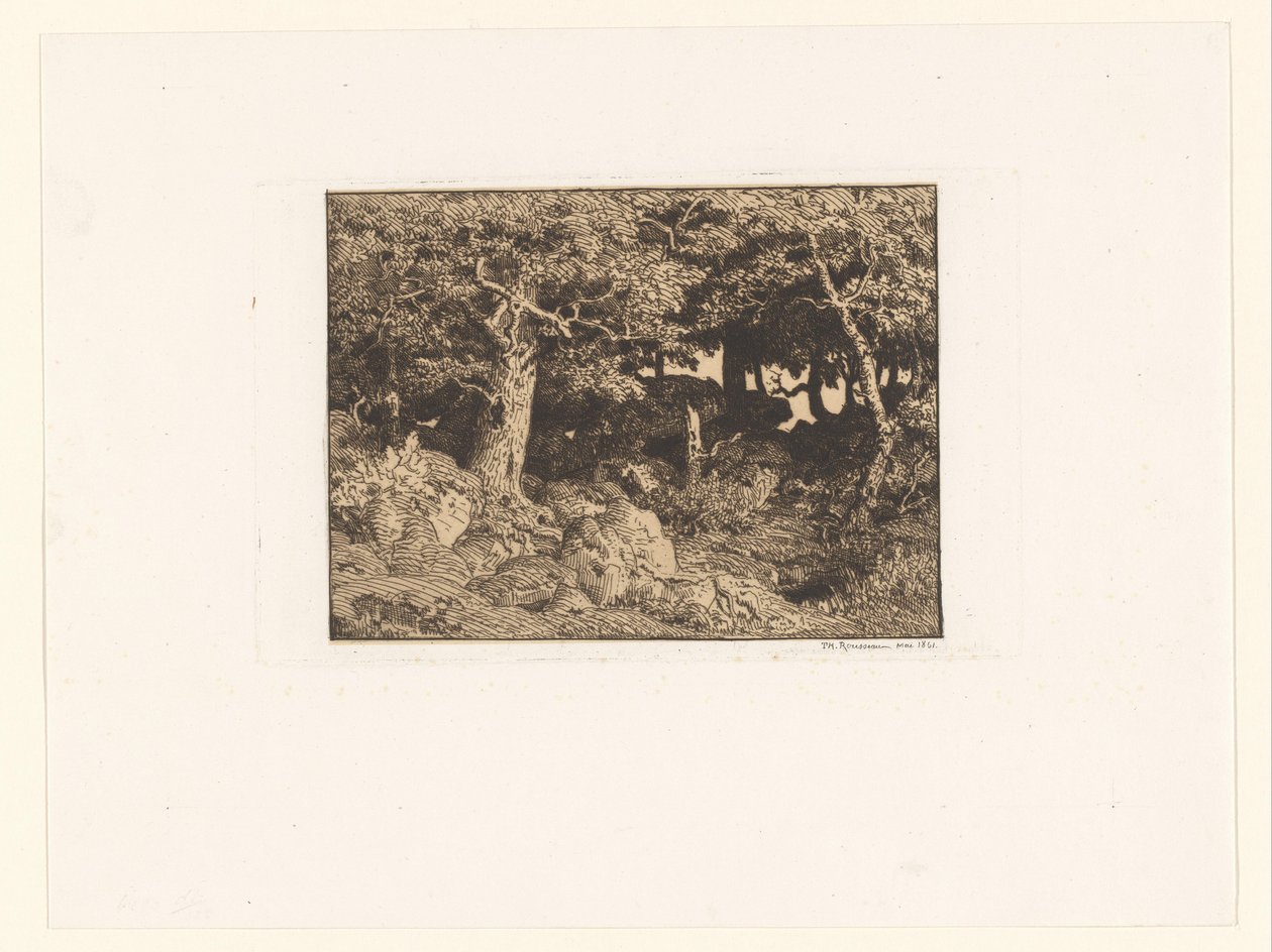 Querce su rocce da Theodore Rousseau