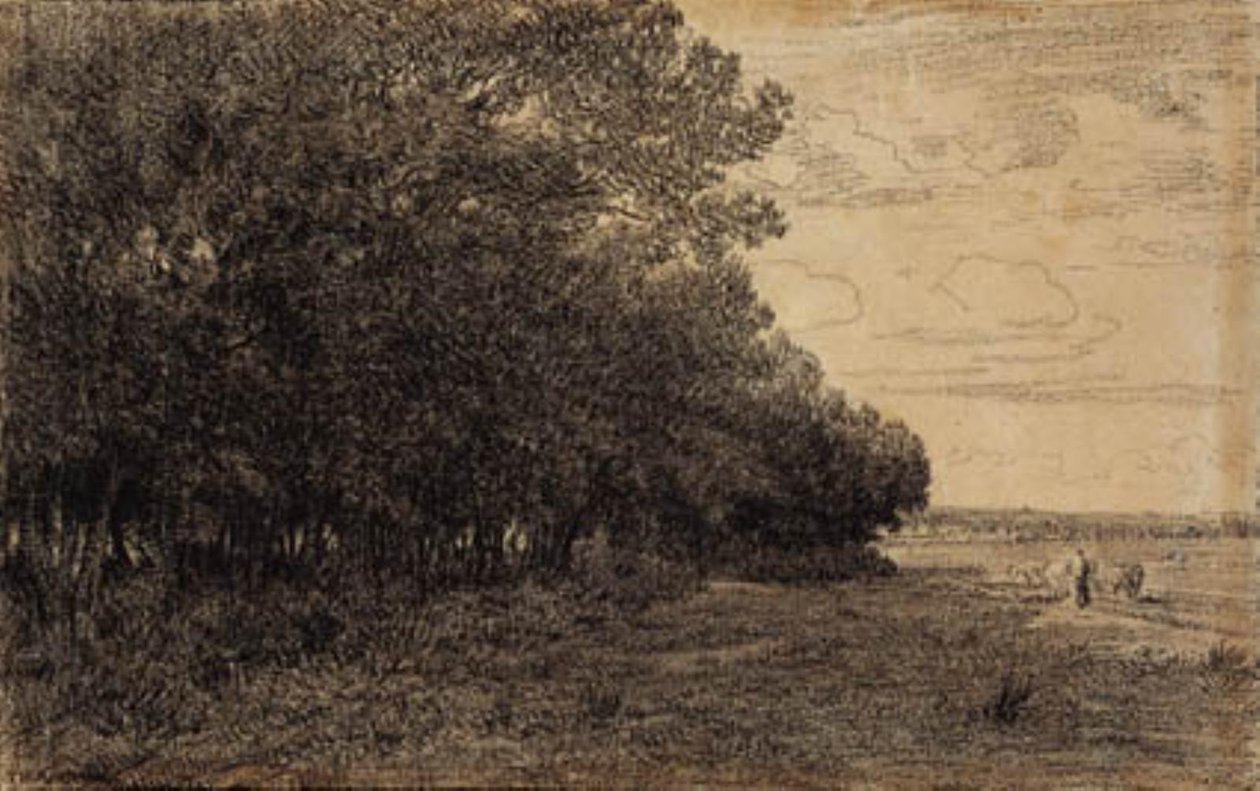 Un piccolo gruppo di alberi alti vicino alla foresta di Macherin da Theodore Rousseau