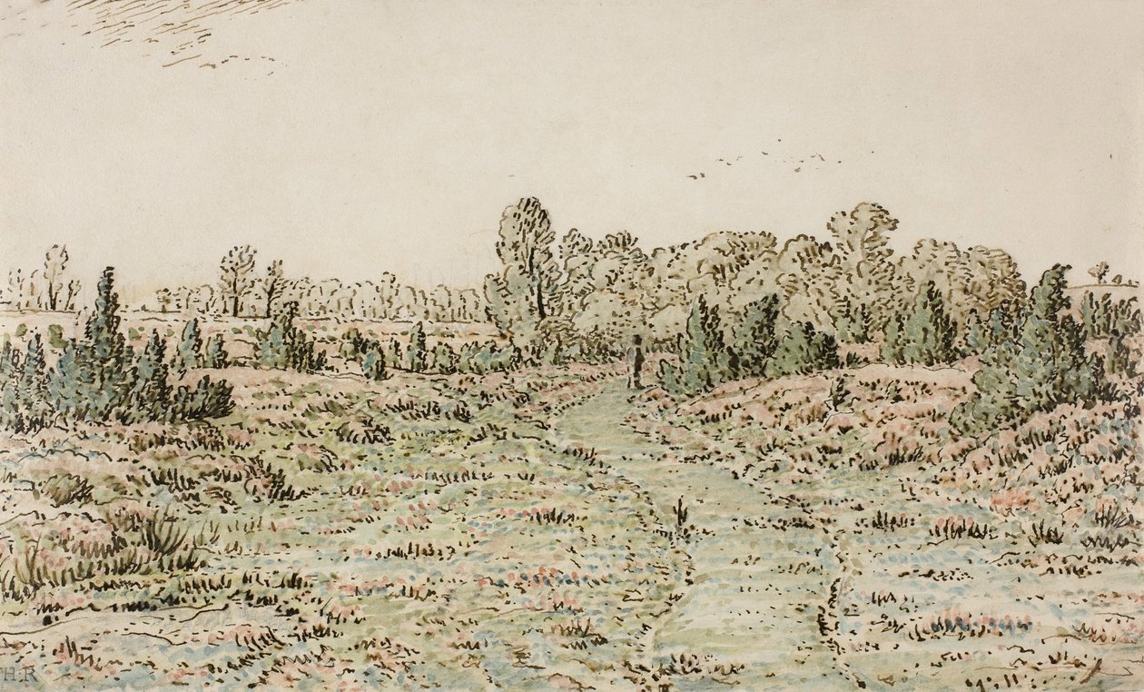 Sentiero nella Barbizonnières, 1864 da Pierre Etienne Theodore Rousseau