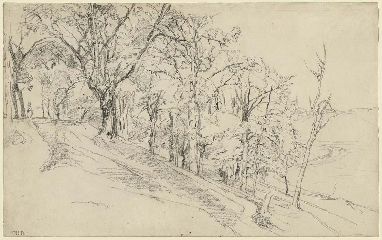 Foresta di Boisrémond (recto); Cottage in una foresta (verso) da Theodore Rousseau
