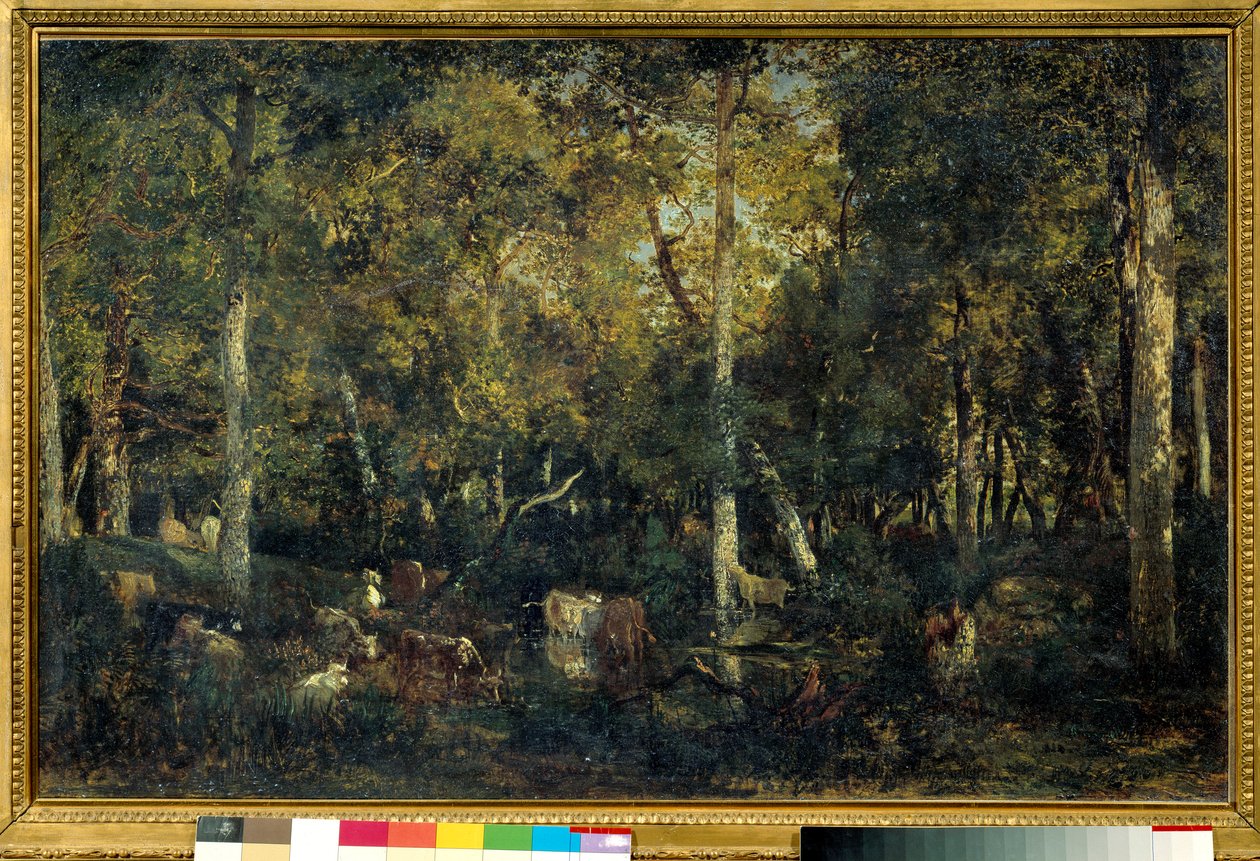 Interno del bosco detto il Vecchio Dormitorio del Bas-Breau da Pierre Etienne Theodore Rousseau