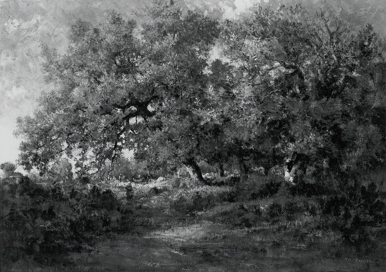 Paesaggio da Theodore Rousseau