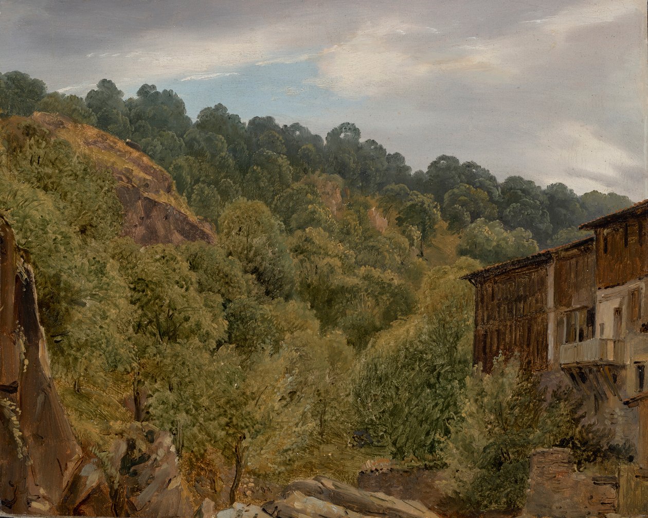 Paesaggio in Alvernia da Theodore Rousseau