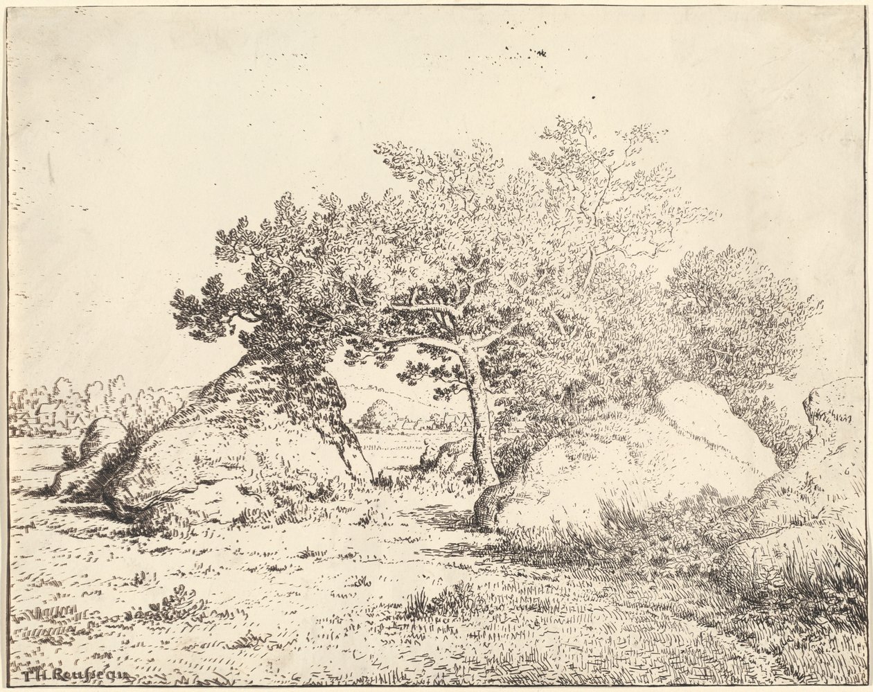 Il ciliegio della pianta a Biau da Theodore Rousseau