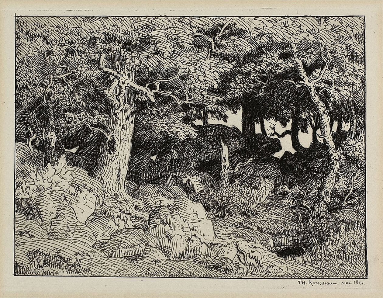 Quercia dalle Rocce da Theodore Rousseau
