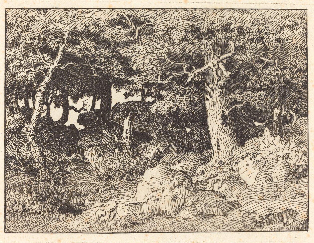 Querce rocciose da Theodore Rousseau