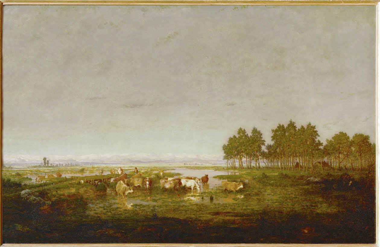 Una palude nelle Landes ... da Theodore Rousseau