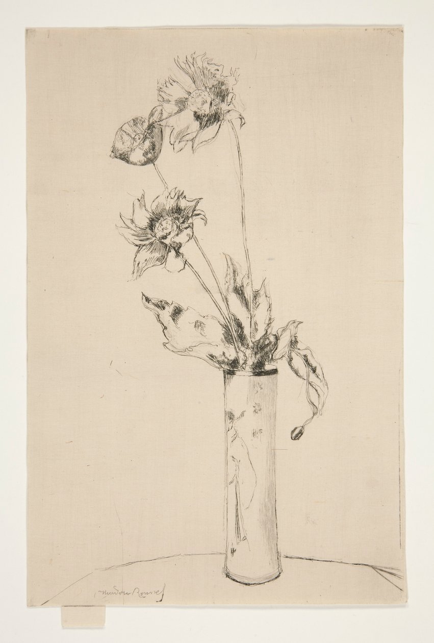 Prova per La Cina (versione in bianco e nero) da Theodore Roussel