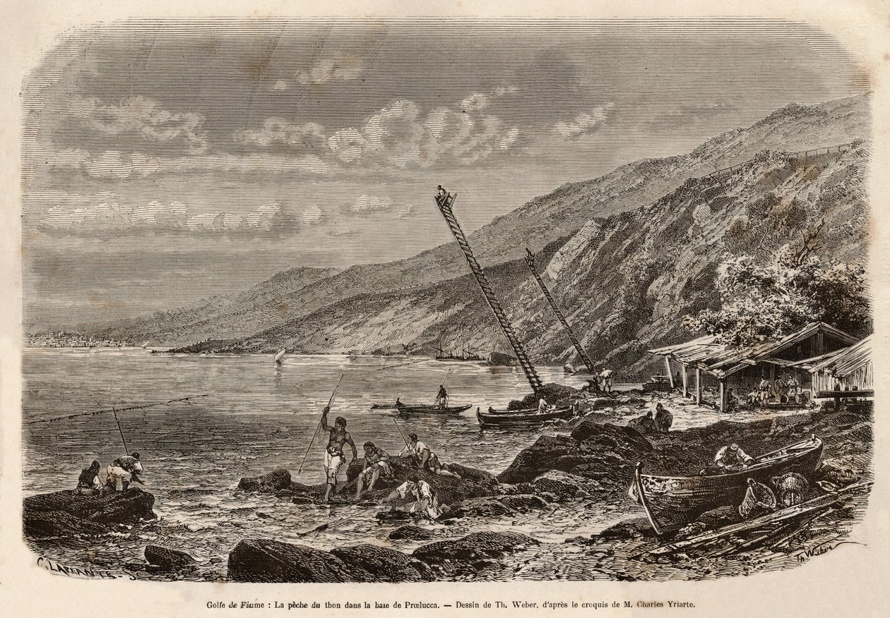 Pesca del tonno nella Baia di Proelucca (Golfo di Fiume o Rijeka, Istria), incisione per illustrare una storia sulla Dalmazia da Theodore Weber
