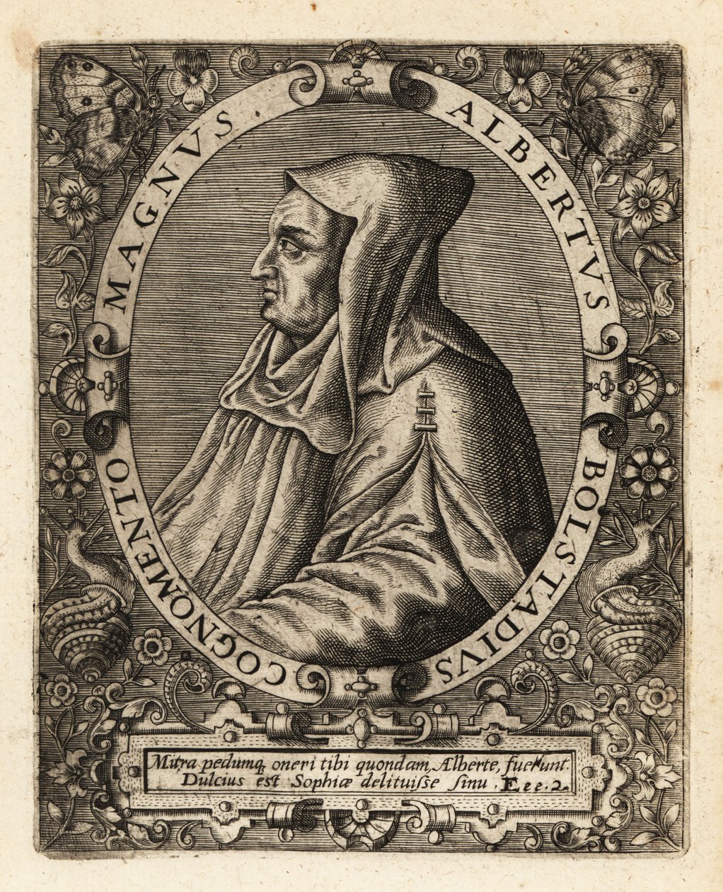 Alberto Magno, vescovo cattolico tedesco da Theodore de Bry