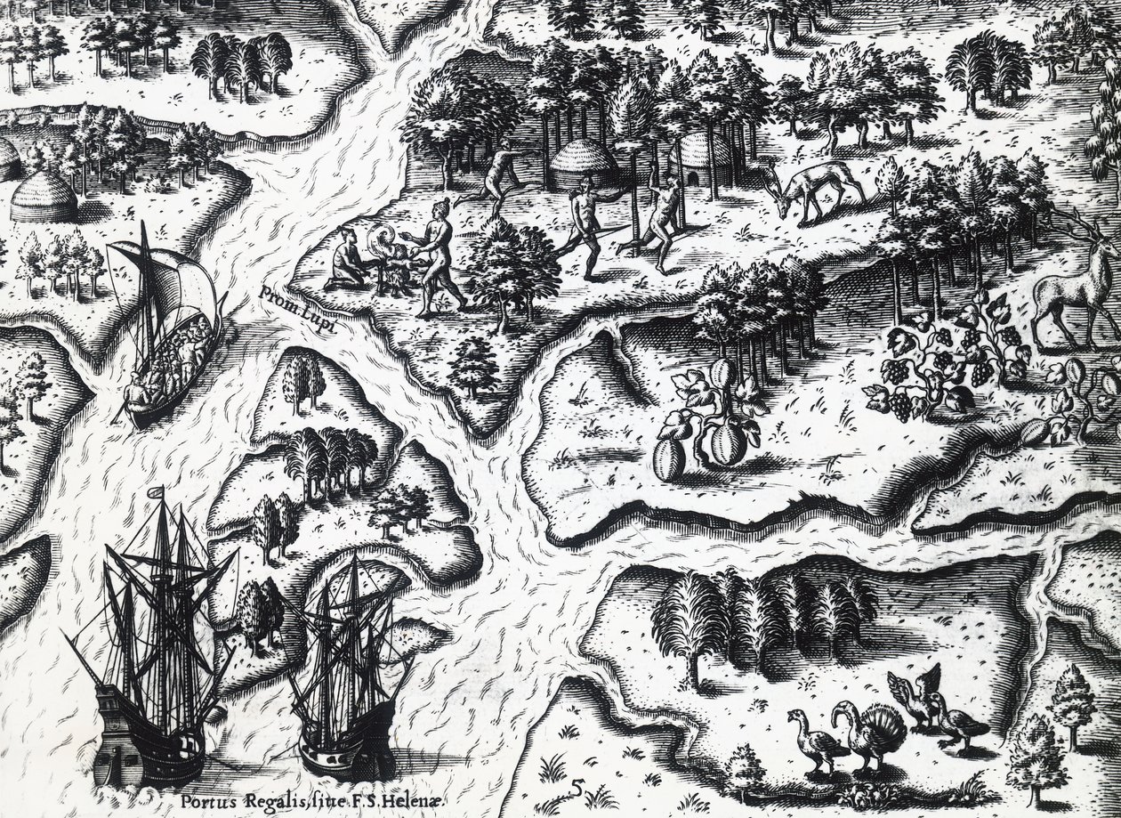 Arrivo dei francesi a Port Royal nel 1564, incisione da Theodore de Bry