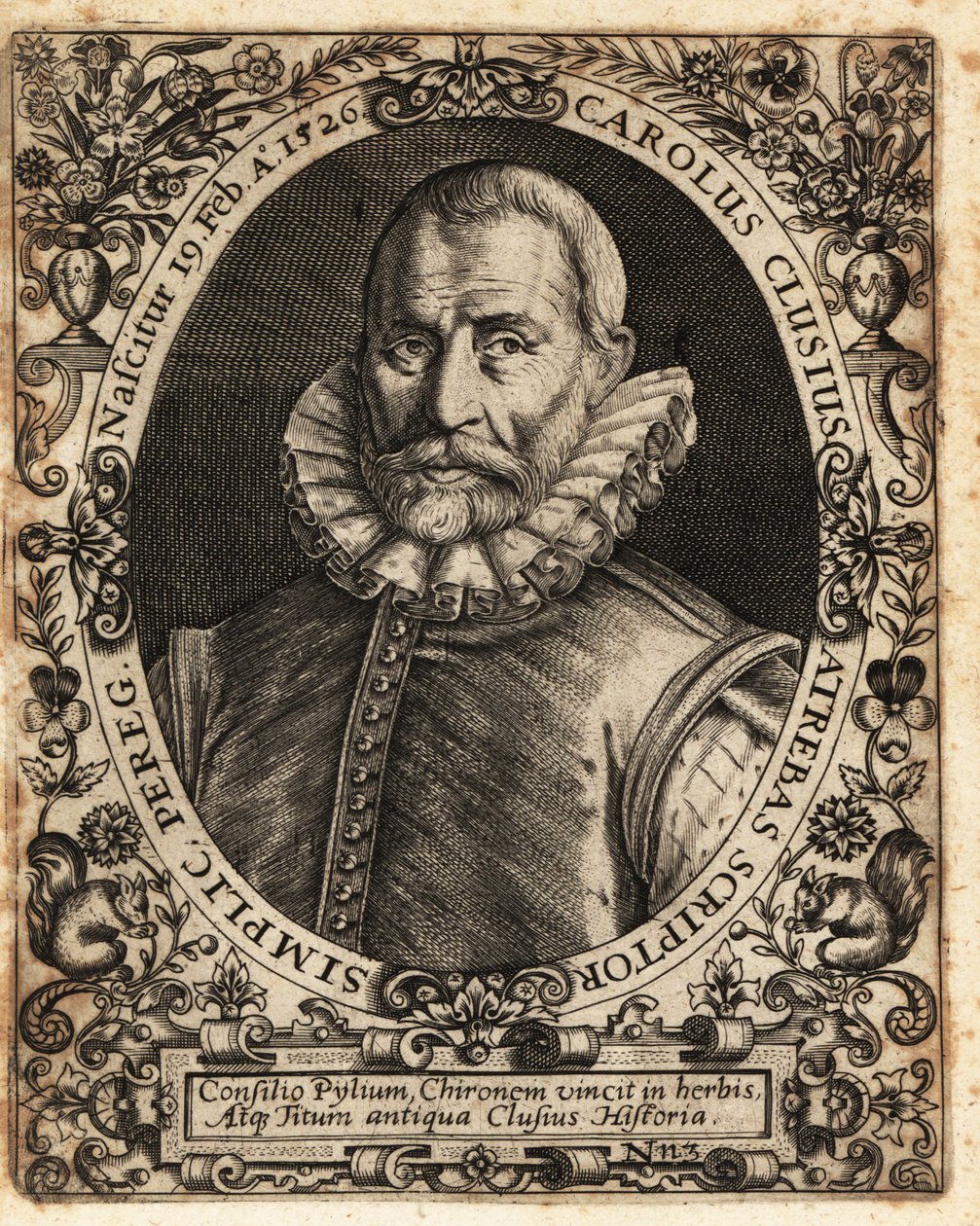 Charles de l’Ecluse, medico, botanico da Theodore de Bry