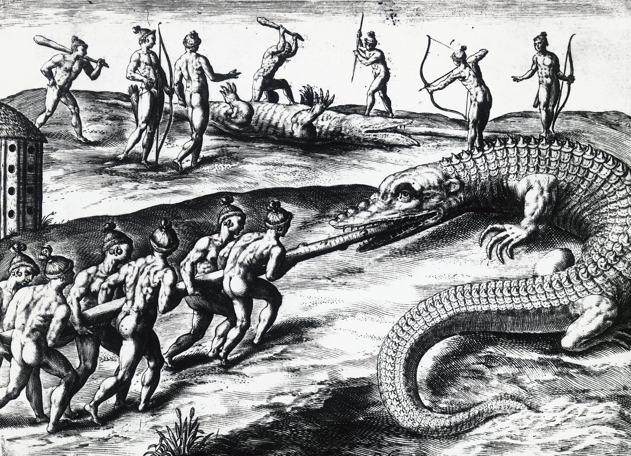 Caccia al coccodrillo in Florida, da dipinto di Jacques le Moyne de Morgues, di Theodor de Bry (incisione) da Theodore de Bry