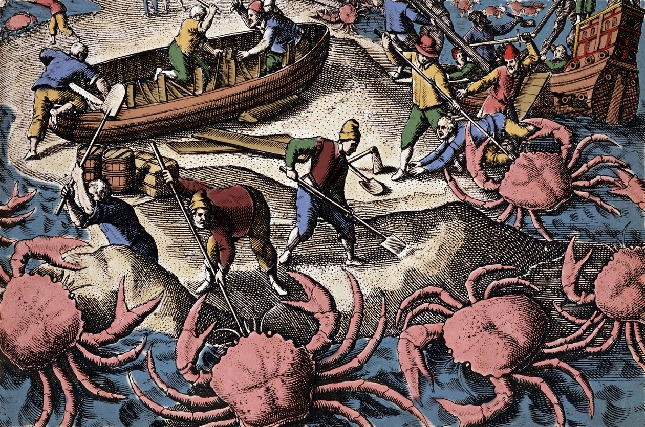 Navigatori europei che combattono un grande granchio. Incisione da "Petites voyages aux Indes Orientales" di Theodore de Bry da Theodore de Bry