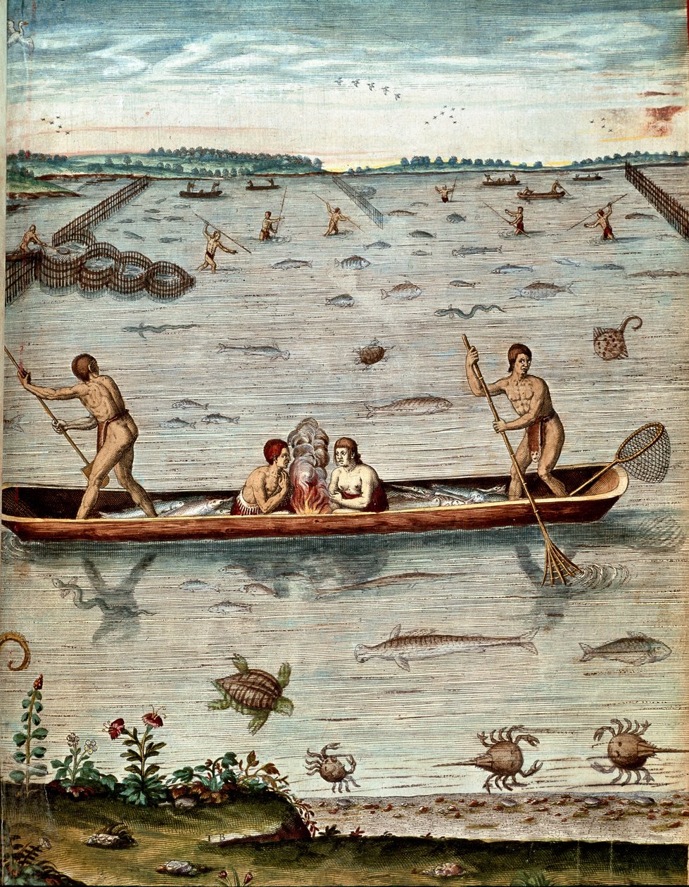 Storia dell