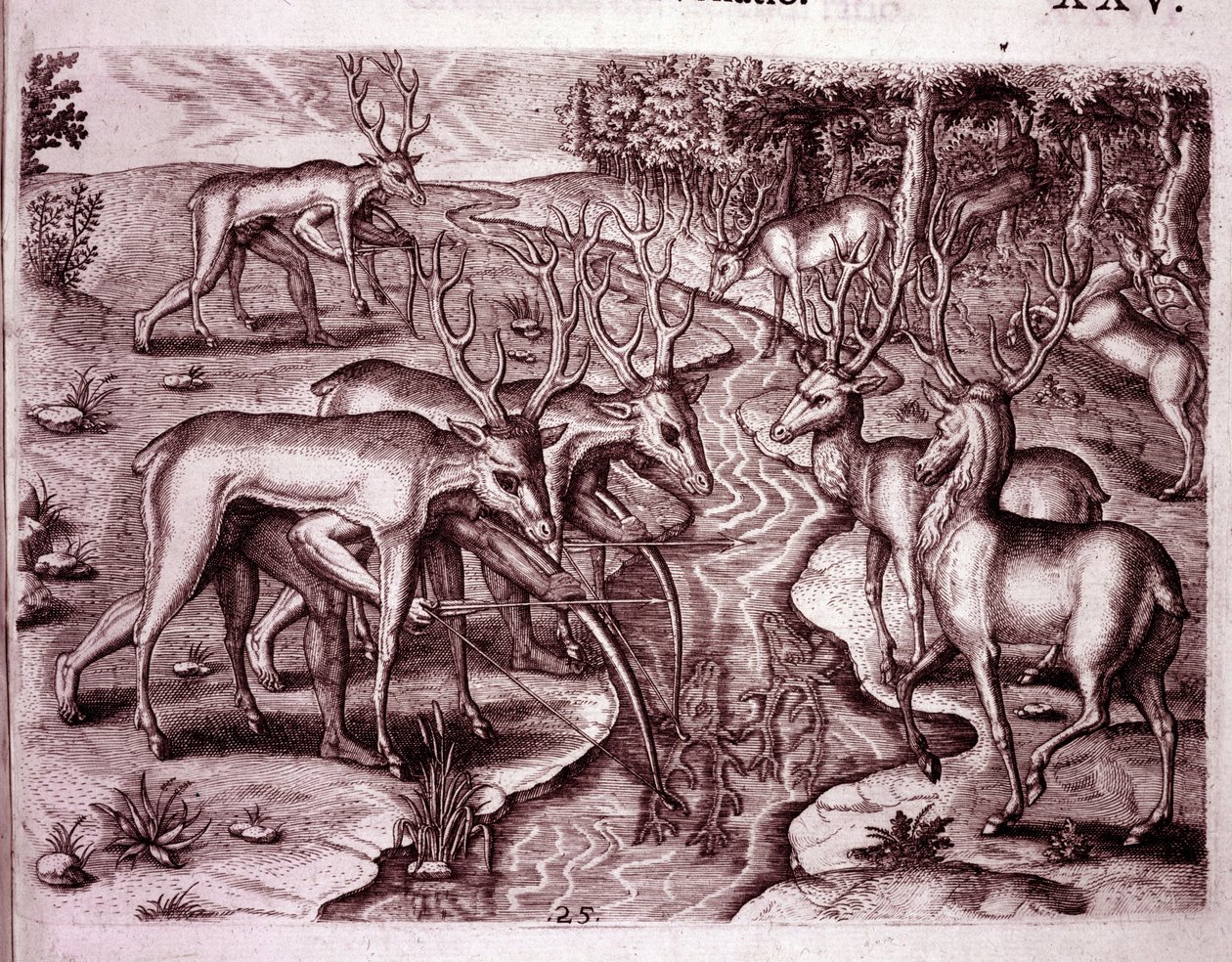 Indiani che usano pelli di cervo per cacciare altri cervi (Incisione) da Theodore de Bry