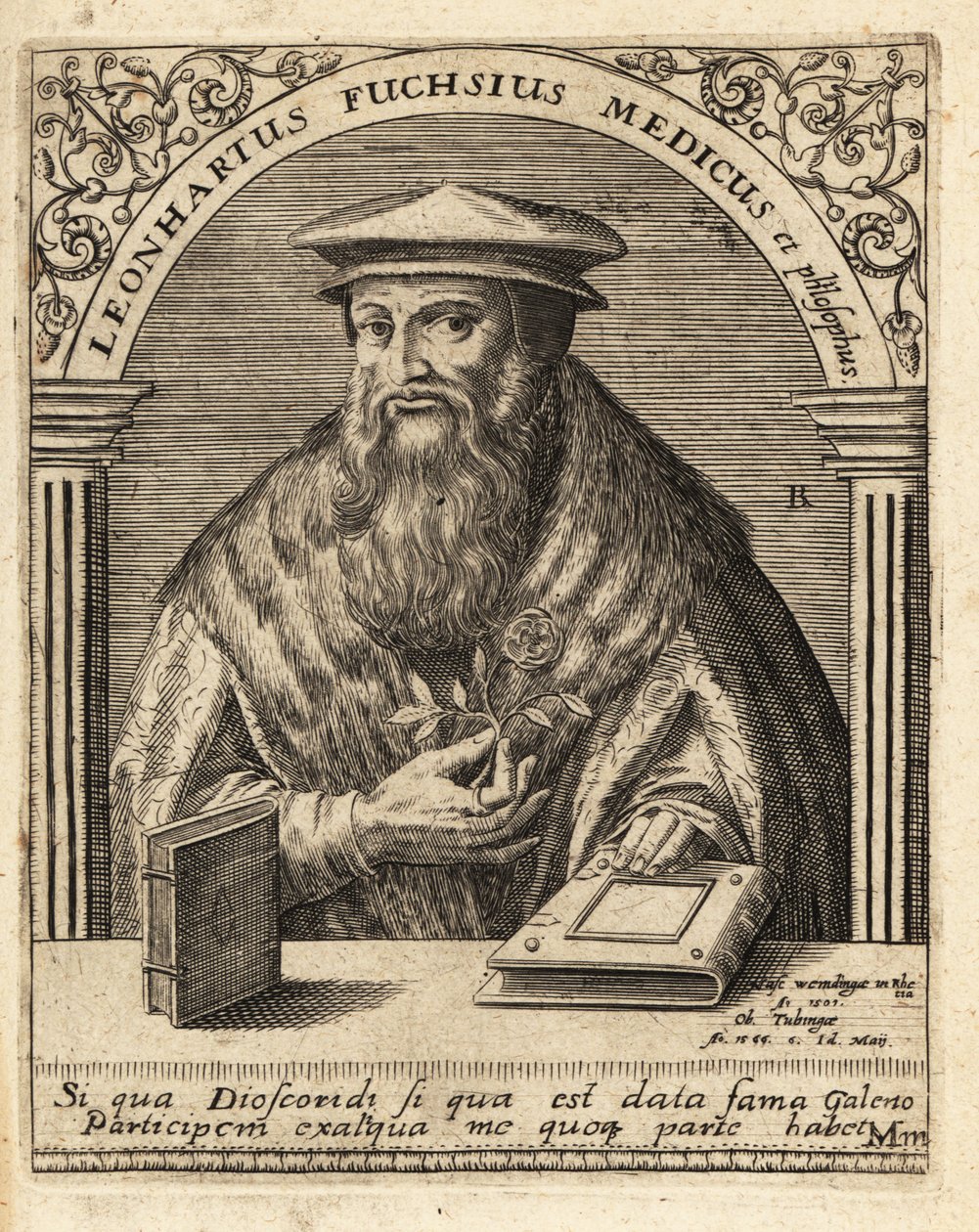 Leonhart Fuchs, medico e botanico tedesco 1501-1566 da Theodore de Bry