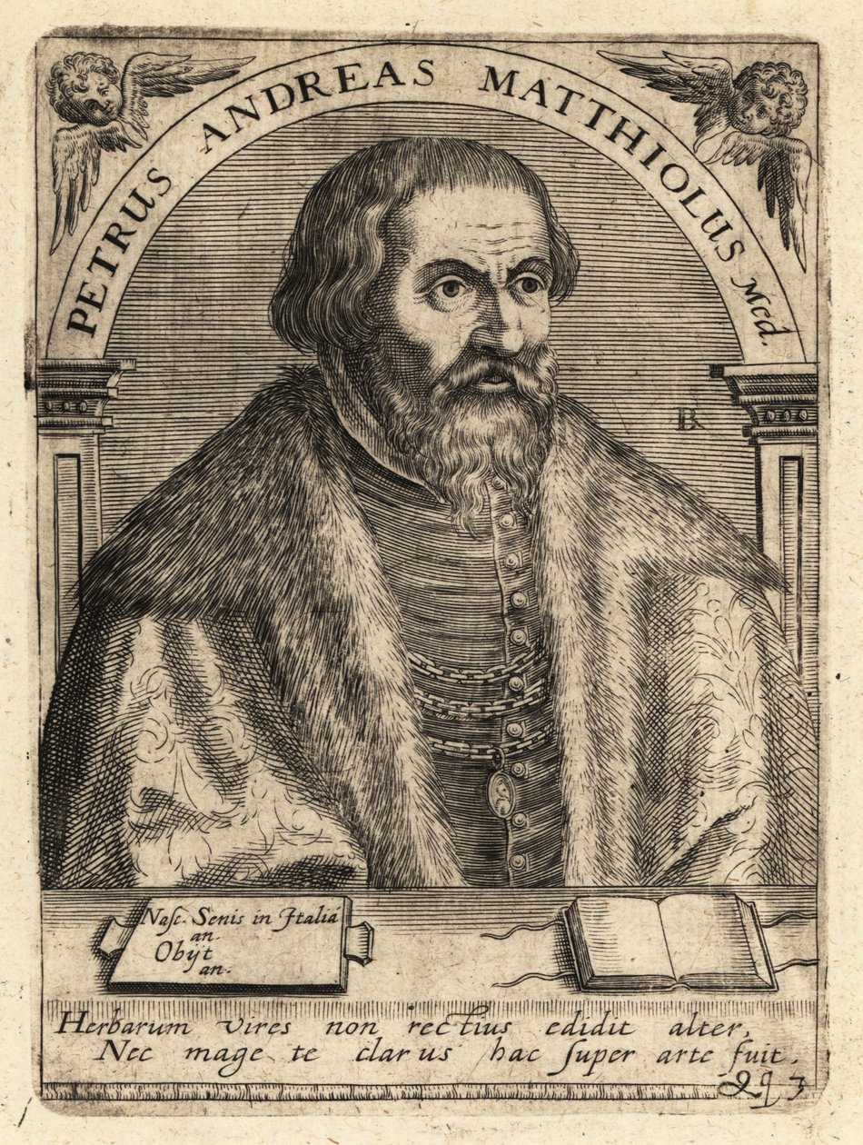 Pietro Andrea Gregorio Mattioli, medico italiano da Theodore de Bry