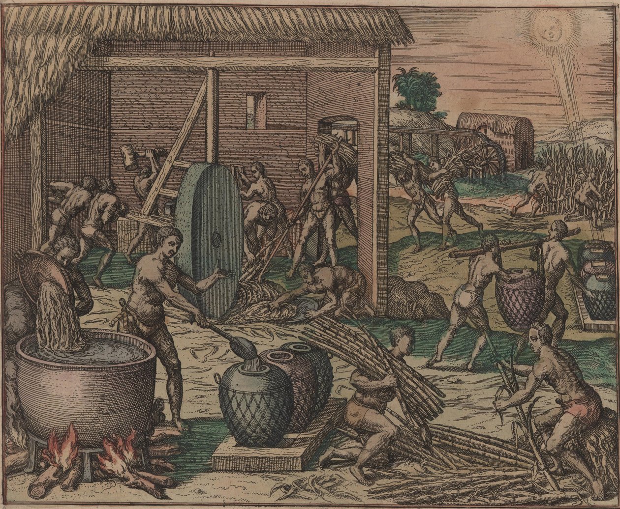 Gli schiavi lavorano la canna da zucchero e producono zucchero, 1595 da Theodore de Bry