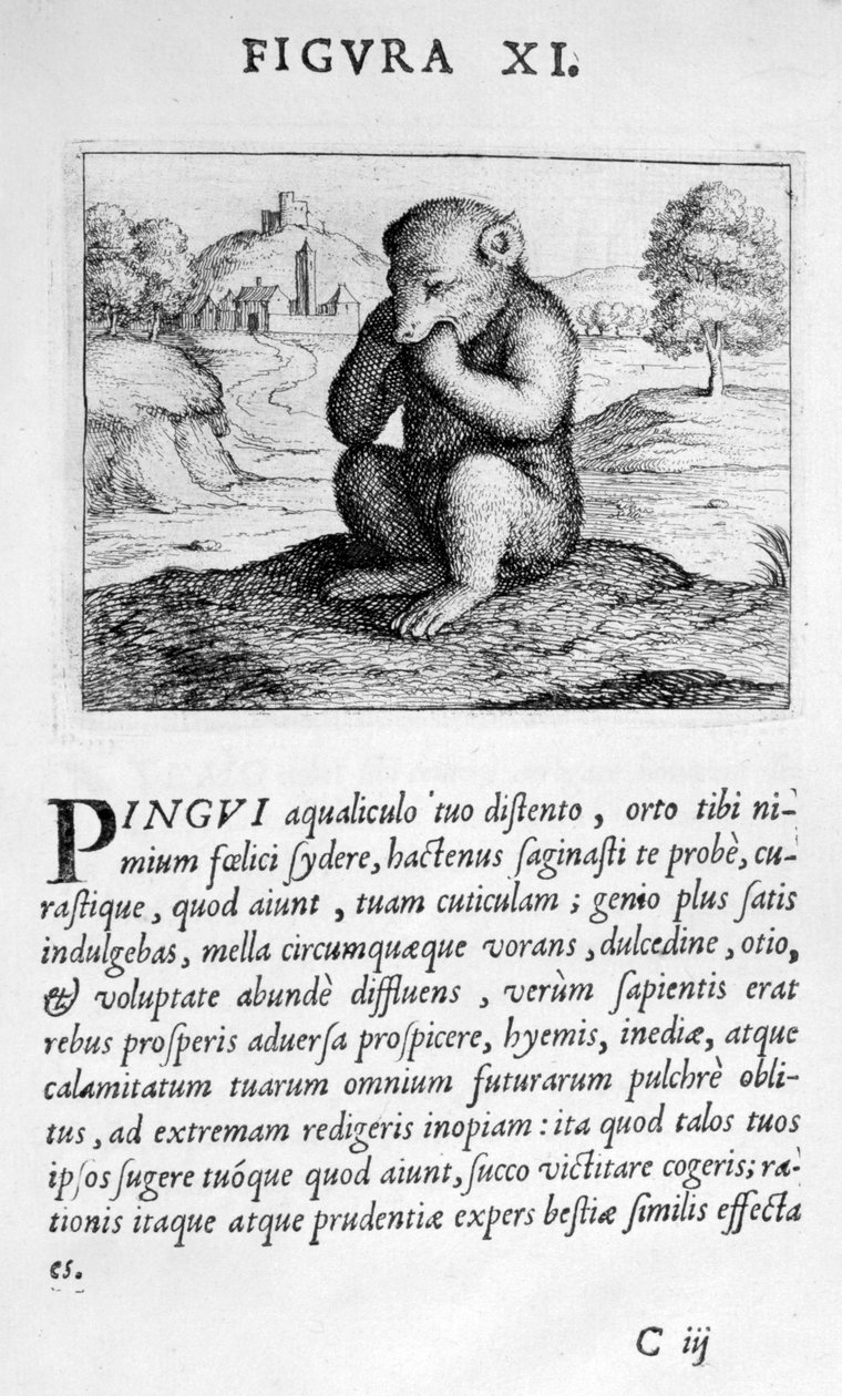 Figura di profezia XI da Prognosticatio Eximii Doctoris Paracelsi, 1536 da Theophrastus Bombastus von Hohenheim Paracelsus