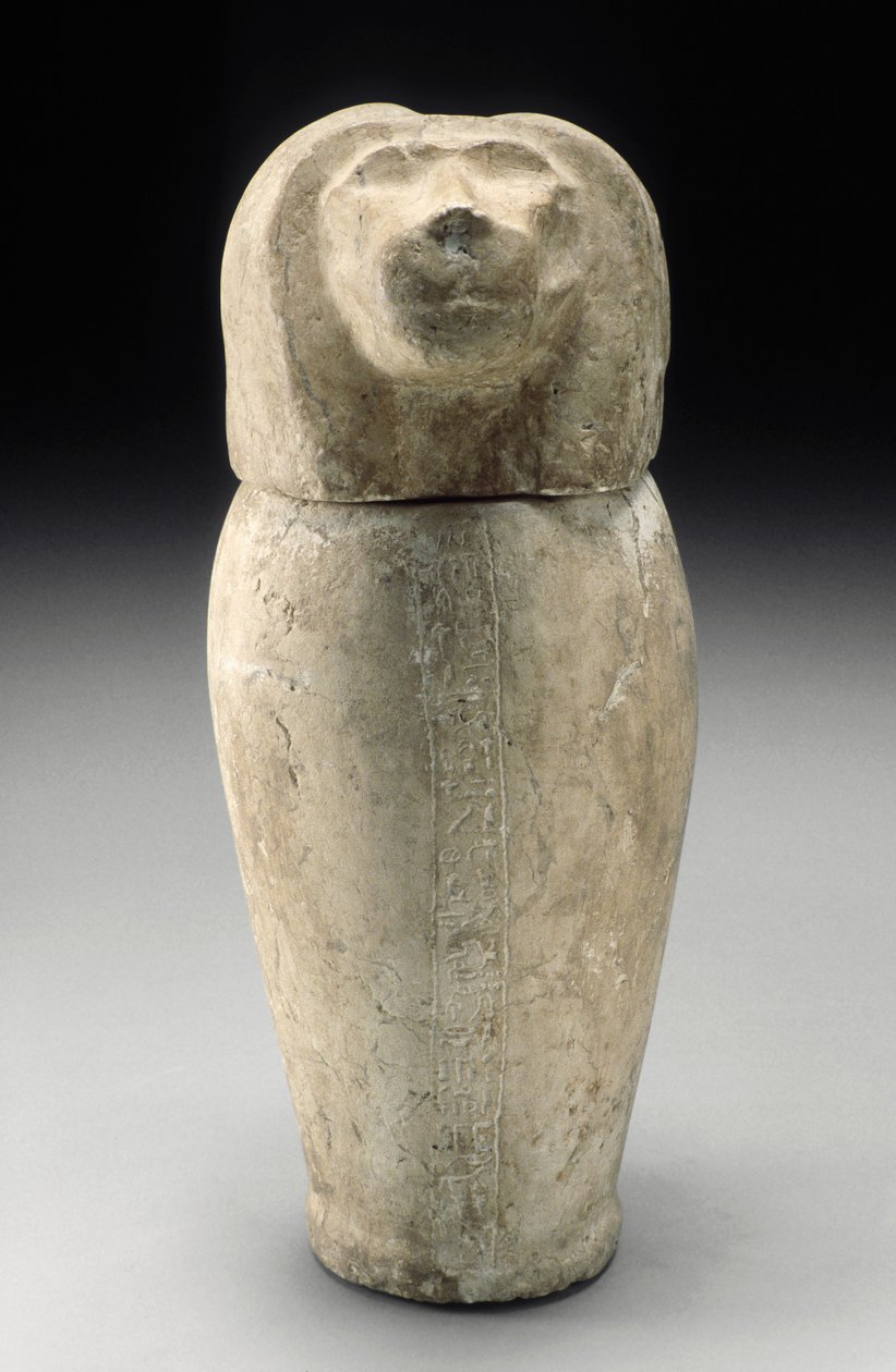 Vaso canopo con testa di cinocefalo (calcare) da Third Intermediate Period Egyptian
