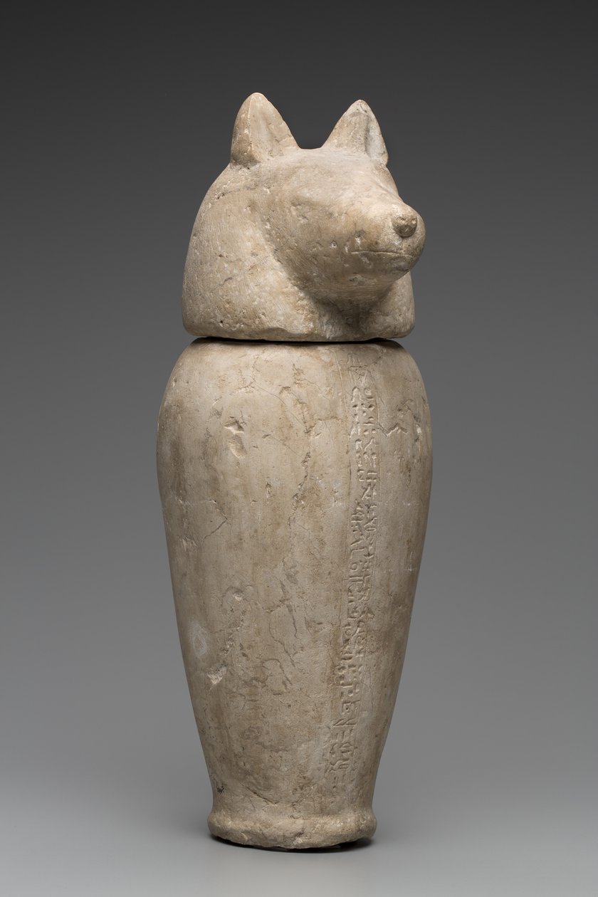 Vaso canopo con testa di sciacallo (calcare) da Third Intermediate Period Egyptian