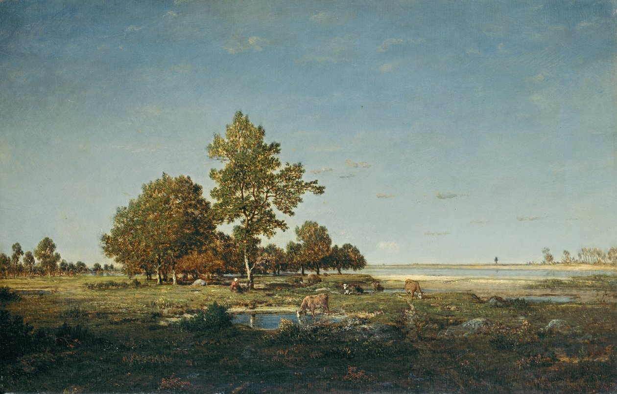 Paesaggio con gruppo di alberi da Pierre Etienne Theodore Rousseau
