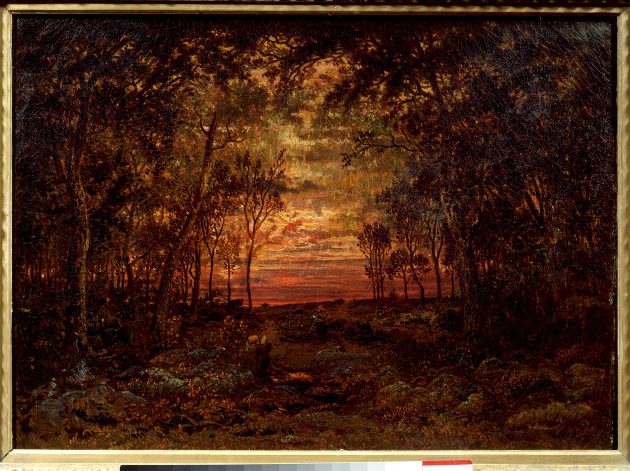 Tramonto nella foresta da Pierre Etienne Theodore Rousseau