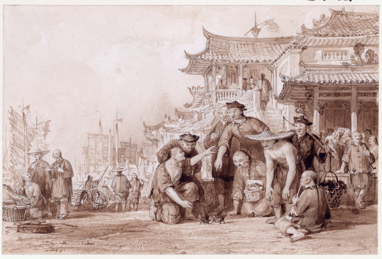Barcaioli di Canton che combattono quaglie, 1843 da Thomas Allom