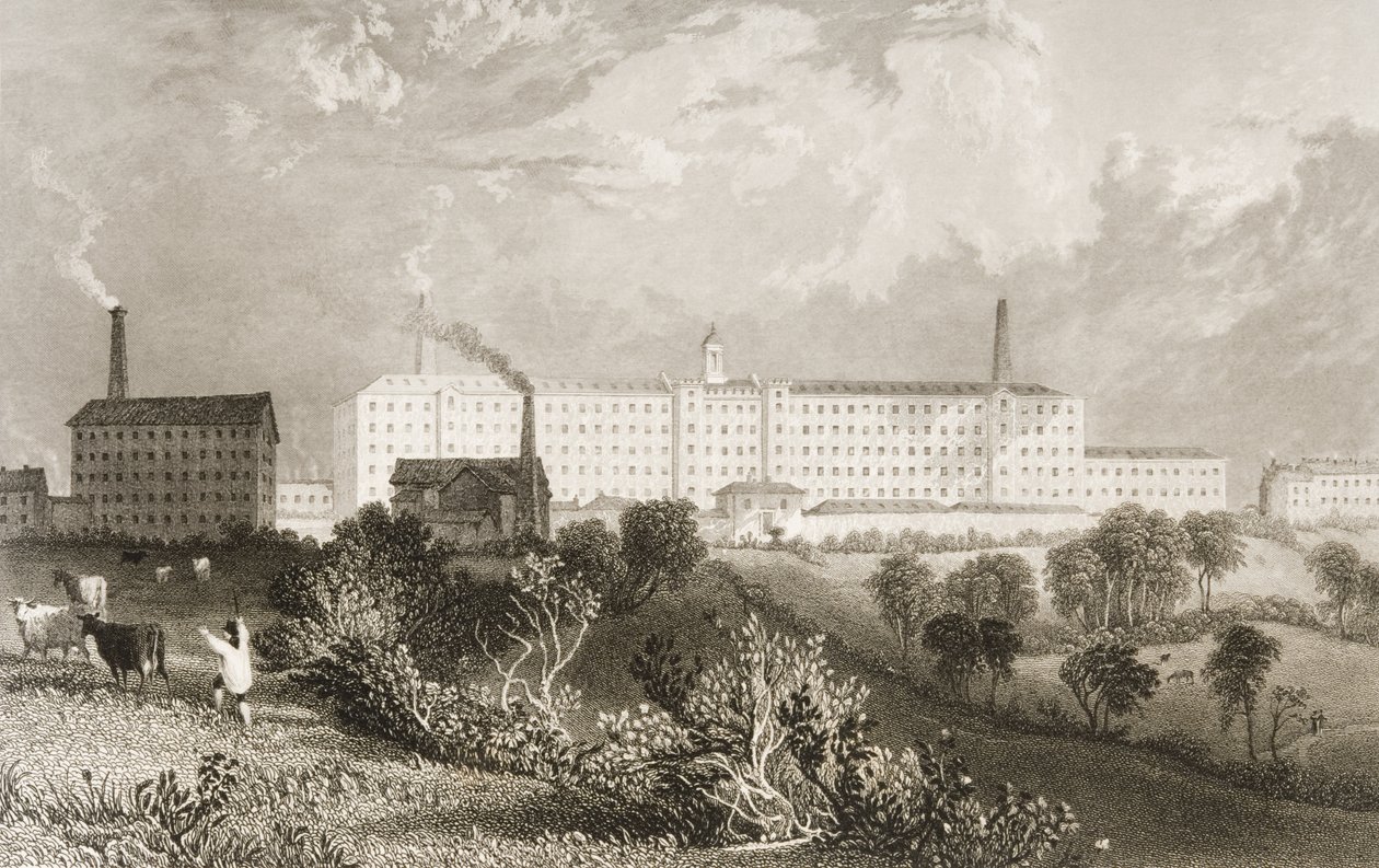 Fabbrica Swainson Birley und Co. vicino a Preston, Lancashire, inciso da James Tingle c.1833 da Thomas Allom