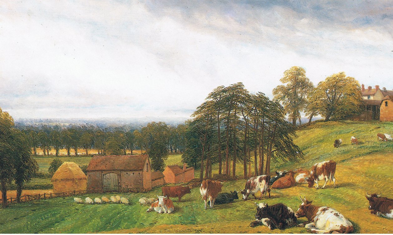 Bovini e pecore alla Old Park Farm da Thomas Baker