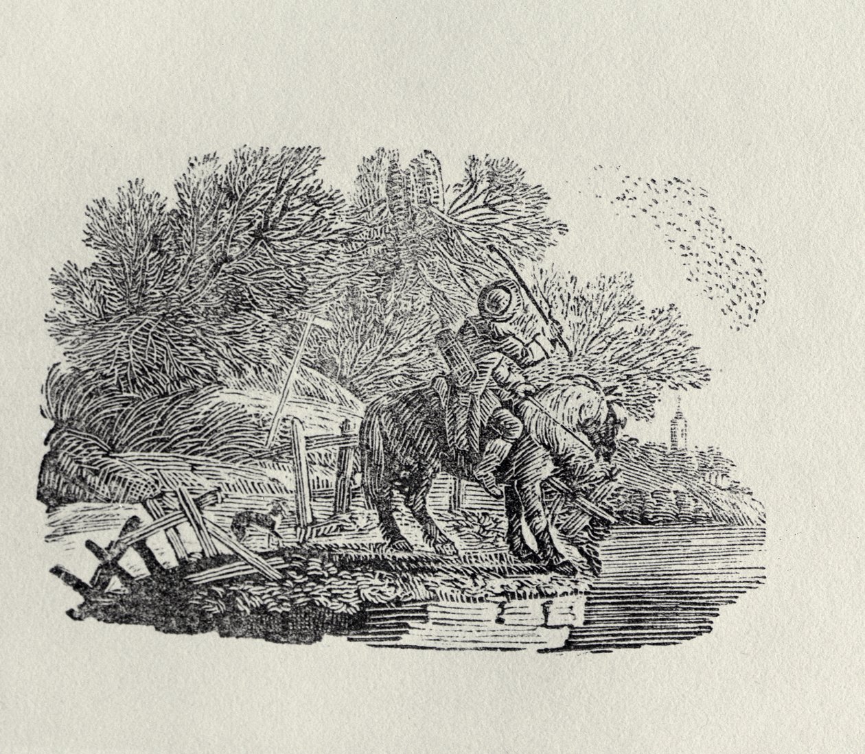Un cavaliere distratto da uno stormo di uccelli da Thomas Bewick