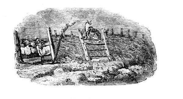 Un cane da pastore e un ovile da Storia degli uccelli e quadrupedi britannici da Thomas Bewick