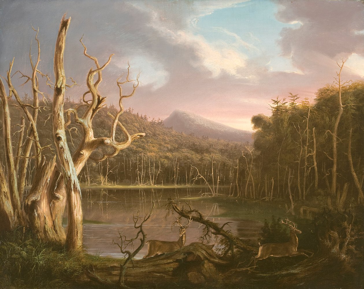 Lago con alberi morti (Catskill) da Thomas Cole