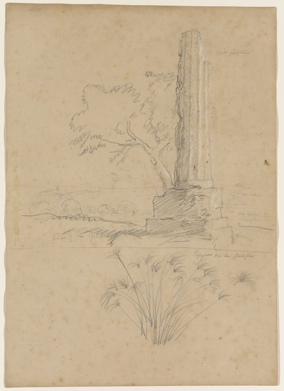 Tempio di Zeus e Papiri sul Fiume Anapo, vicino a Siracusa, Sicilia, 1842 da Thomas Cole