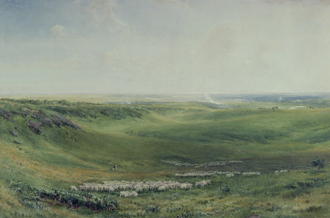 Ampie praterie, Sussex da Thomas Collier