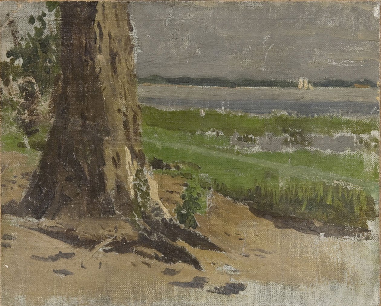 Immagine sconosciuta da Thomas Eakins