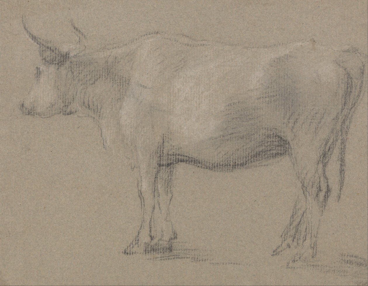 Studio di una mucca da Thomas Gainsborough