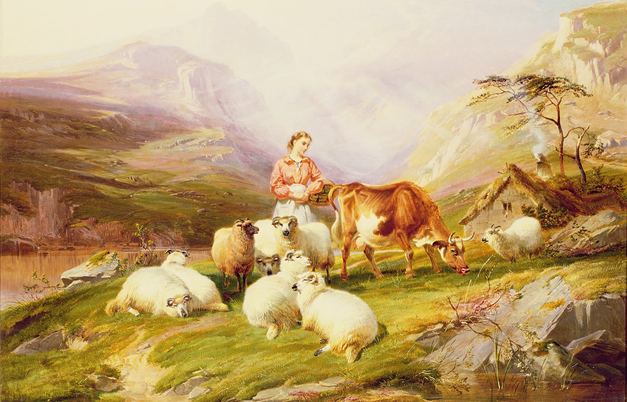 Mucca e pecore in un pascolo di montagna da Thomas George Cooper