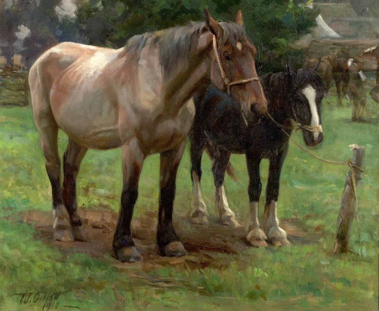 Una fiera di paese, 1910 da Thomas J. Gillott