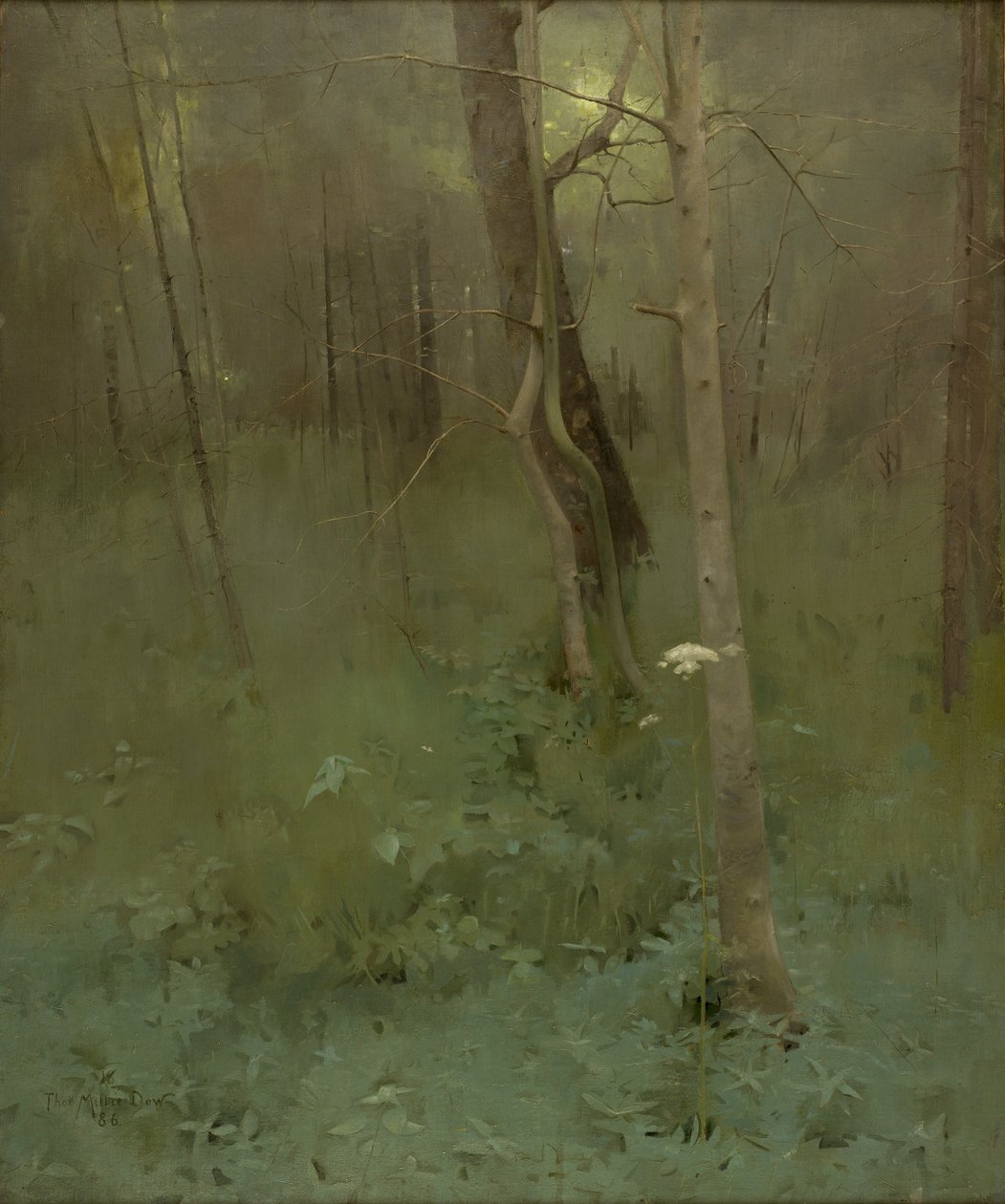 Alberi, 1886 da Thomas Millie Dow