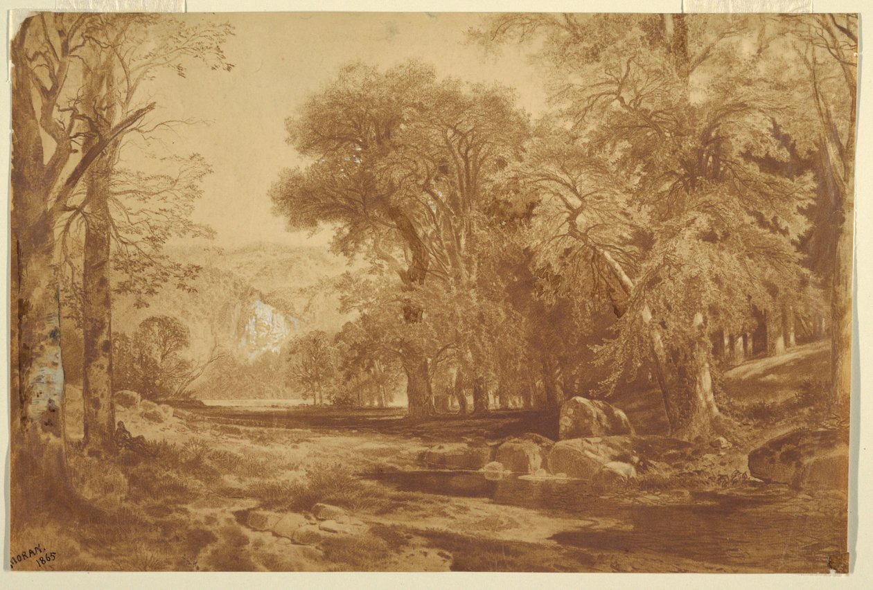 Fotografia, Sul Delaware Superiore da Thomas Moran