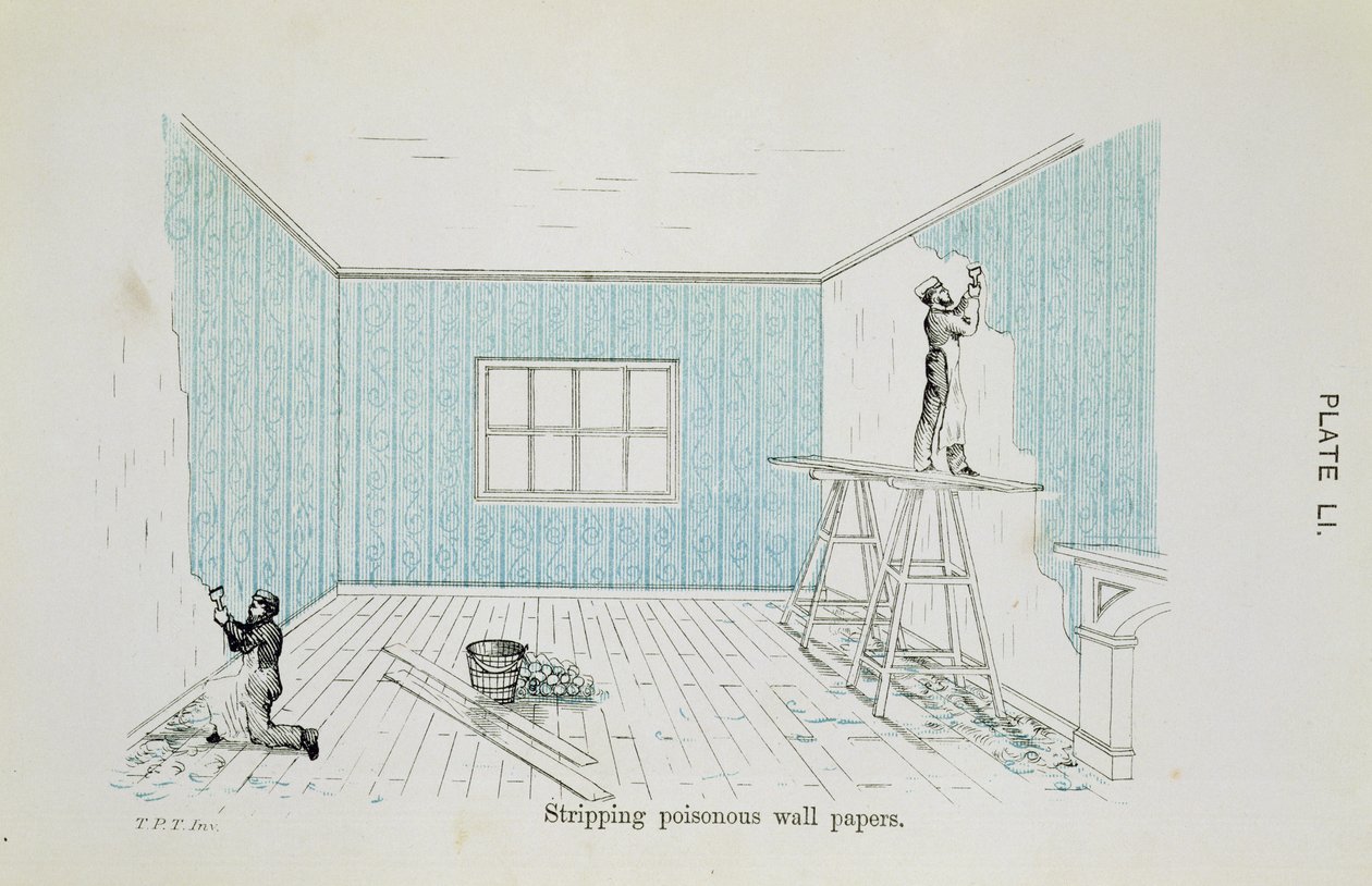 Rimozione di carte da parati velenose, illustrazione da Dangers to Health: A Pictorial Guide to Domestic Sanitary Effects, pubblicato 1897 da Thomas Pridgin Teale