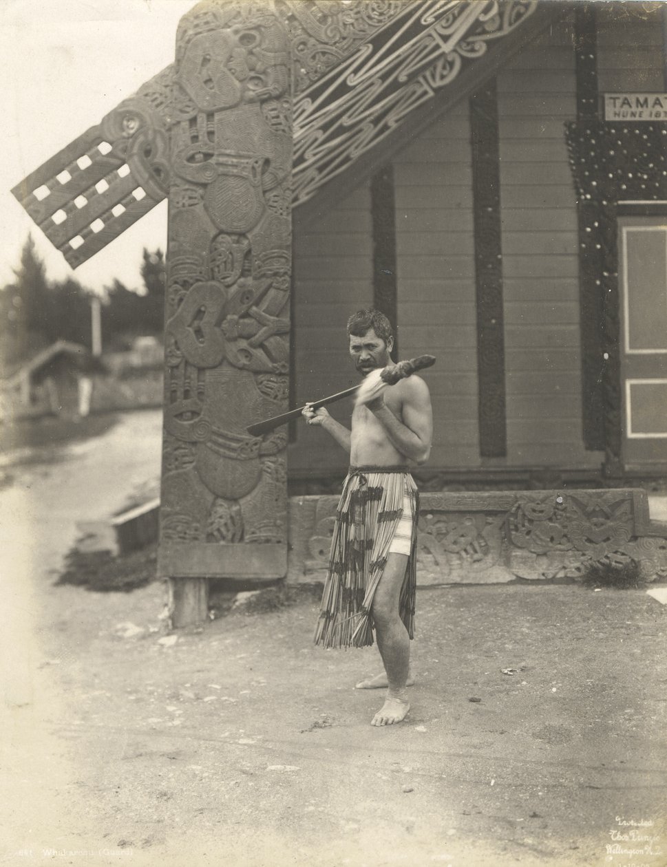 Whakaronu (Guardia) 1905 da Thomas Pringle