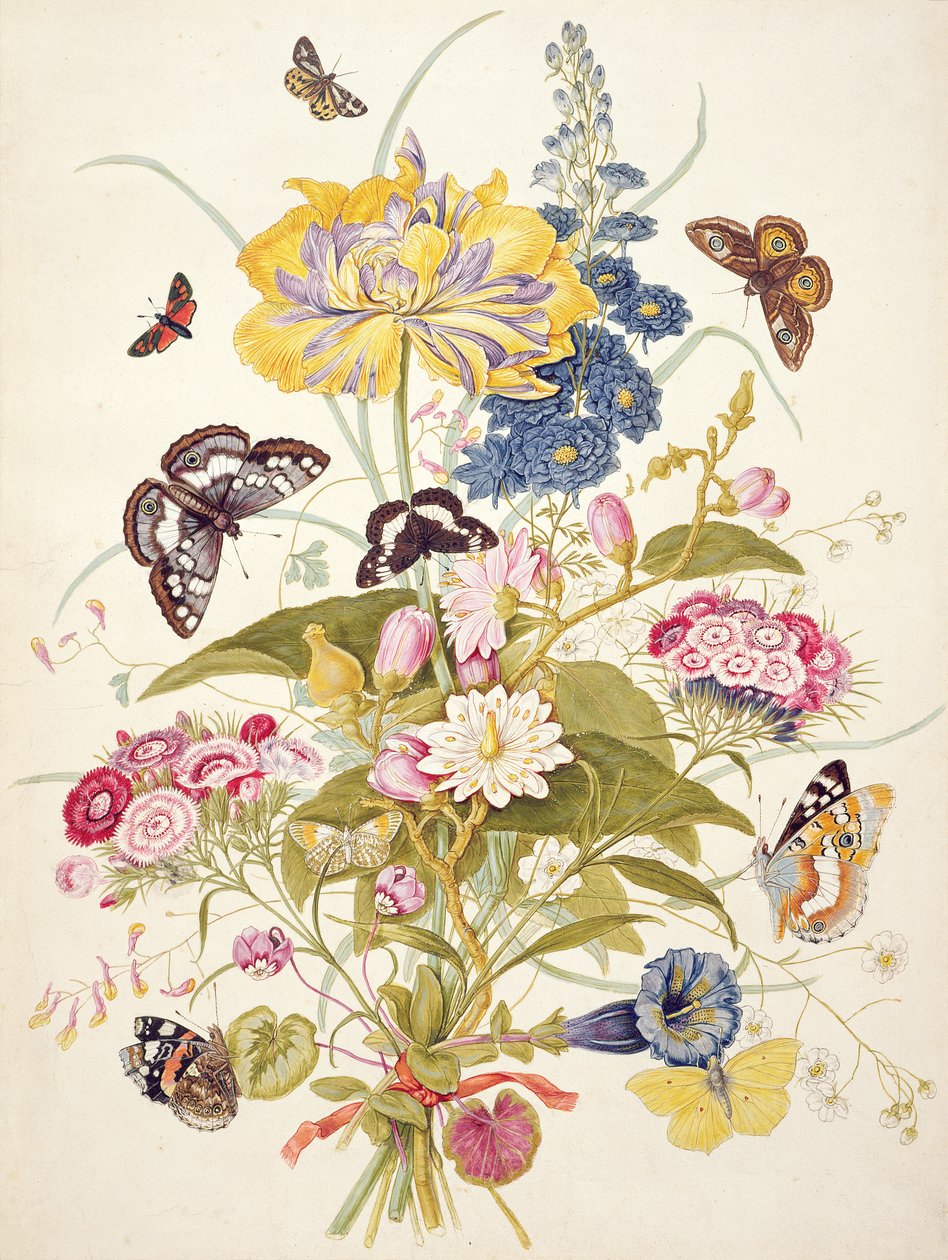 Natura morta di fiori tra cui un tulipano pappagallo, speronella, garofano dei poeti, genziana e ciclamino, 1769 da Thomas Robins