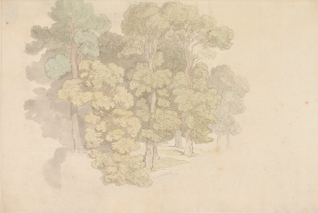 Un gruppo di alberi da Thomas Rowlandson