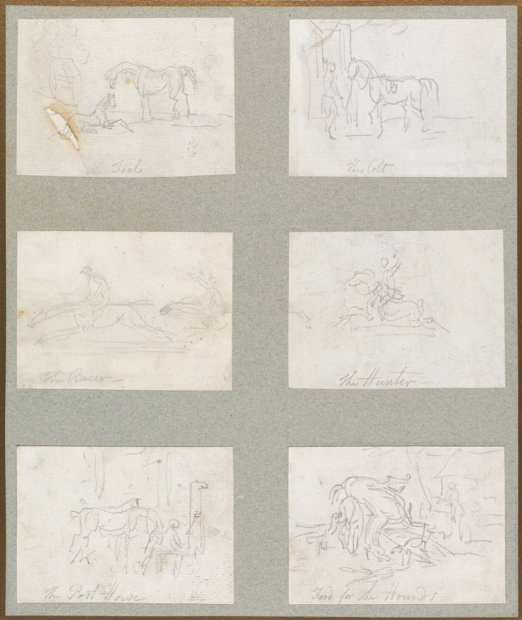 Età del cavallo - Il puledro, Il cavallo giovane, Il corridore, Il cacciatore, Il cavallo da posta, Cibo per i cani da Thomas Rowlandson