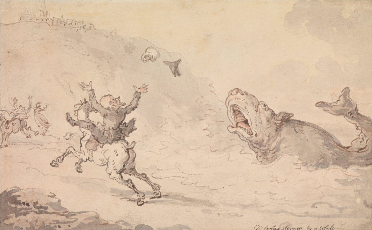 Il dottor Syntax allarmato da una balena da Thomas Rowlandson