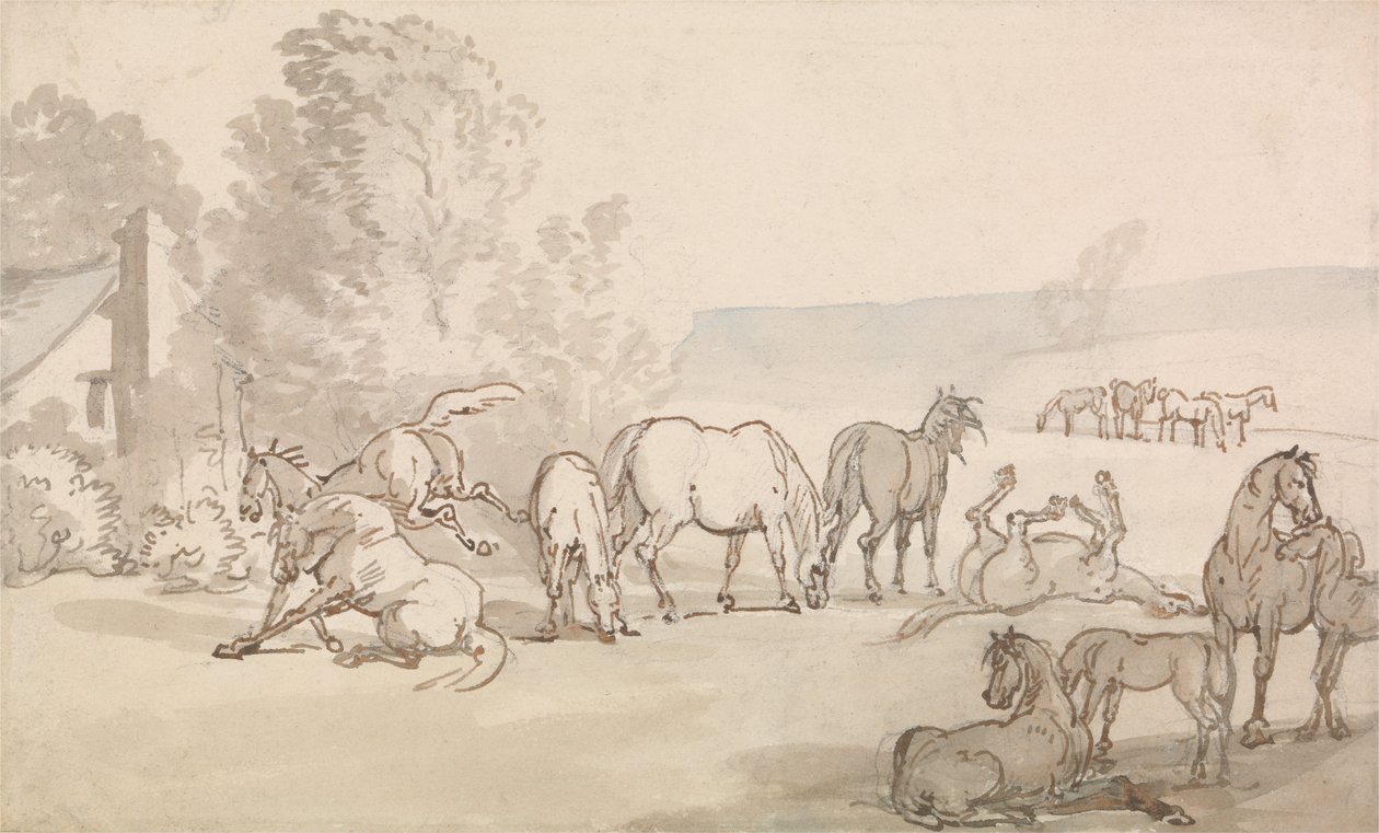 Giumente e puledri in un campo da Thomas Rowlandson